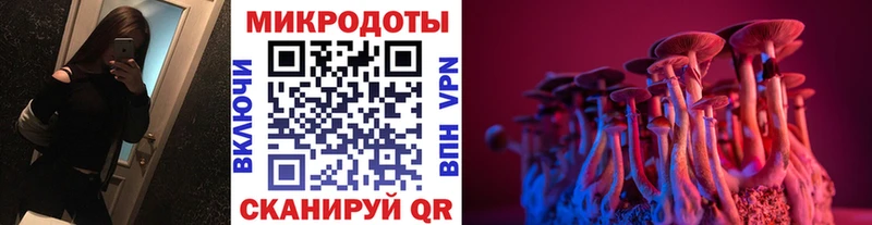 мега онион Мурманск Галлюциногенные грибы Psilocybine cubensis